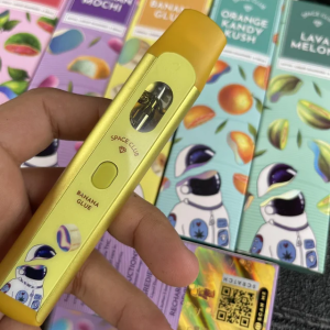 Space club disposables vape pen with package box