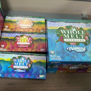 Bulk buy Whole Melt v6 Tropical Edition 2g Disposable Empty